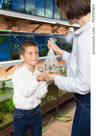 Boy in pet store with mother Boy in pet store with mother 76499969