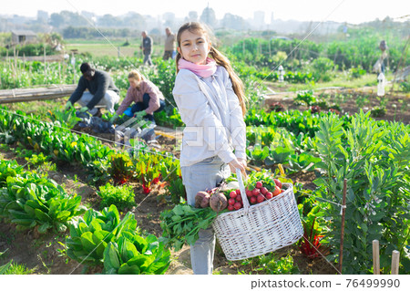 Teenage farmer girl posing with gathered vegetables Teenage farmer girl posing with gathered vegetables 76499990