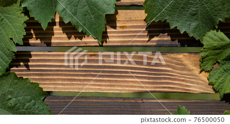 Rustic wooden texture surface with green leaves use for background. Copy space 76500050