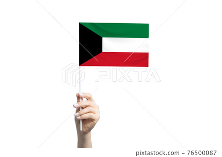 Beautiful female hand holding Kuwait flag, isolated on white background 76500087