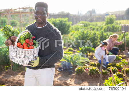 proffesional farmer with garden basket proffesional farmer with garden basket 76500494