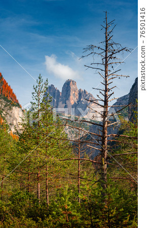 Magical Dolomite peaks at the national park Three Peaks (Tre Cime, Drei Zinnen) in Autumn October colors during sunset at blue sky, South Tyrol, Italy 76501416