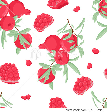 Pomegranate fruits on branch with leaves vector hand drawn seamless pat. Fresh pomegranate for cosmetics, wedding, spa, juice or invitation card design. Ripe tropical exotic fruit. 76502950