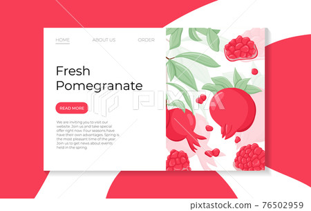 Pomegranate fruits on branch with leaves vector hand drawn landing page template. Fresh pomegranate. 76502959