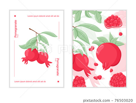 Pomegranate fruits on branch with leaves and grains vector hand drawn card template. Fresh pomegranates. Pomegranate fruits on branch with leaves and grains vector hand drawn card template. Fresh pomegranates. 76503020