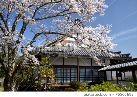 Sesonji Main Hall (Hiso, Oyodo Town, Yoshino District, Nara Prefecture) 76503692