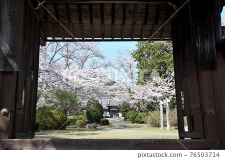 Sesonji Sanmon (Hiso, Oyodo Town, Yoshino District, Nara Prefecture) 76503714