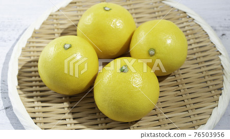 來自宮崎縣的Hyuganatsu(葡萄柚般清爽的甜味,沒有苦味)(日本製造),4月拍攝 來自宮崎縣的Hyuganatsu(葡萄柚般清爽的甜味,沒有苦味)(日本製造),4月拍攝 76503956