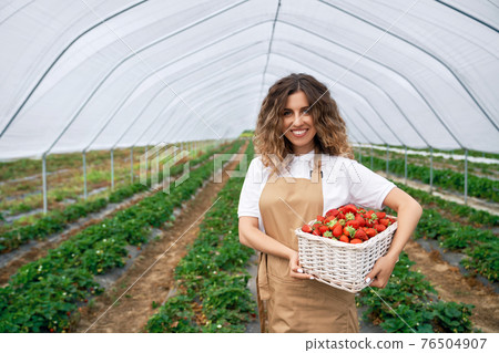 Smiling woman is holding basket with strawberries. Smiling woman is holding basket with strawberries. 76504907
