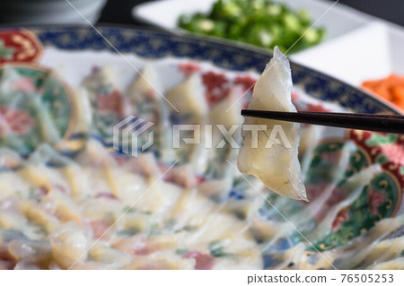 河豚生魚片 76505253