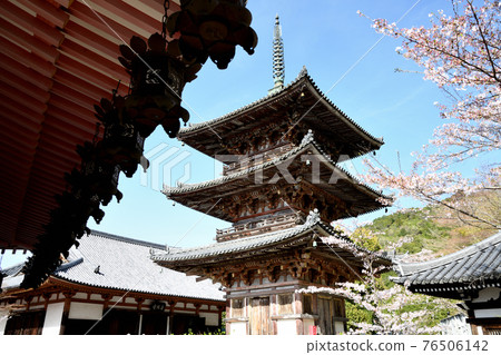 Tsubosaka-dera Mie Pagoda Tsubosaka-dera Mie Pagoda 76506142
