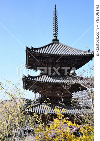 Tsubosaka-dera Mie Pagoda 76506143