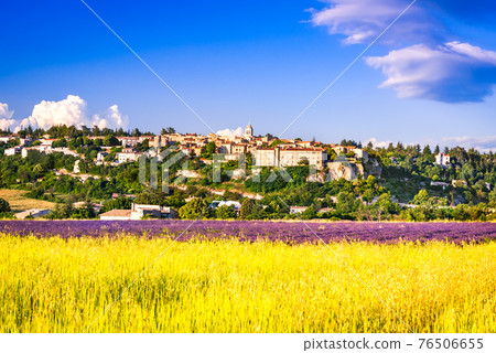 Sault, Provence - Lavender field landscape in France Sault, Provence - Lavender field landscape in France 76506655