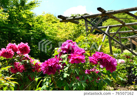 春井齋植物園 春井齋植物園 76507162