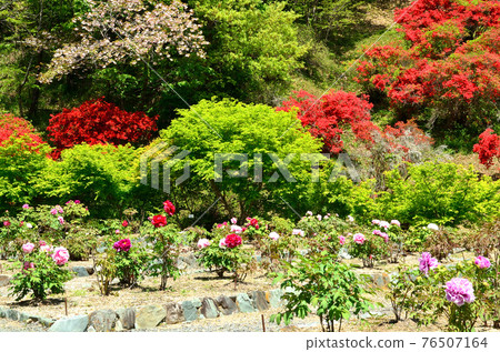 春井齋植物園 春井齋植物園 76507164