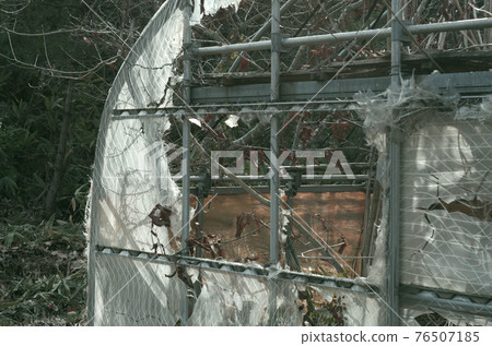 A vinyl house that has decayed and torn vinyl 76507185