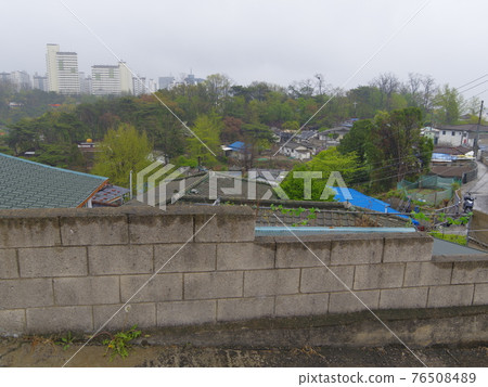 Jeongneunggol. Spring flowers. Forsythia. Sprouts. Leaves Jeongneunggol. Spring flowers. Forsythia. Sprouts. Leaves 76508489