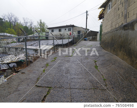 Jeongneunggol. Spring flowers. Forsythia. Sprouts. Leaves Jeongneunggol. Spring flowers. Forsythia. Sprouts. Leaves 76508498