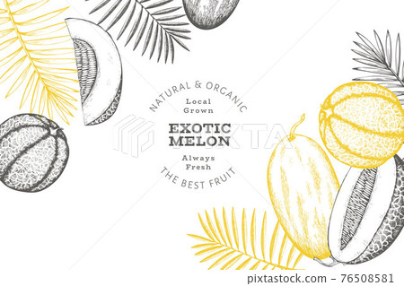 Melons with tropical leaves design template. Hand drawn vector exotic fruit illustration. Retro style fruit banner. 76508581