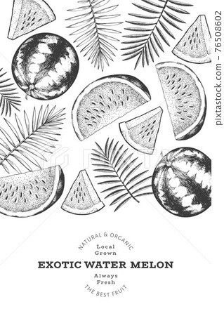 Watermelon and tropical leaves design template. Hand drawn vector exotic fruit illustration. Engraved style fruit frame. Retro botanical banner. 76508602