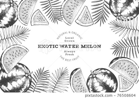 Watermelon and tropical leaves design template. Hand drawn vector exotic fruit illustration. Engraved style fruit frame. Retro botanical banner. 76508604