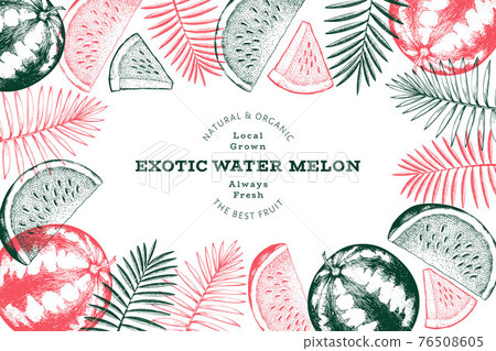 Watermelon and tropical leaves design template. Hand drawn vector exotic fruit illustration. Engraved style fruit frame. Retro botanical banner. 76508605