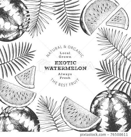 Watermelon and tropical leaves design template. Hand drawn vector exotic fruit illustration. Engraved style fruit frame. Retro botanical banner. Watermelon and tropical leaves design template. Hand drawn vector exotic fruit illustration. Engraved style fruit frame. Retro botanical banner. 76508611