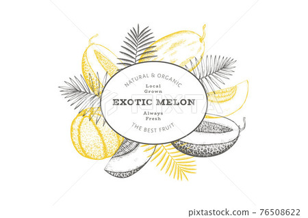 Melons with tropical leaves design template. Hand drawn vector exotic fruit illustration. Retro style fruit banner. 76508622
