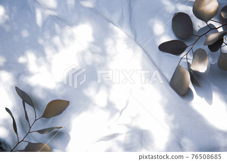 放在白色織物上的干花框架 76508685