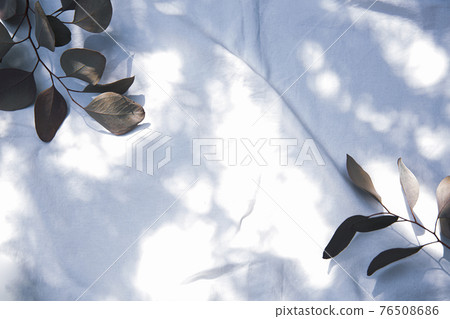 放在白色織物上的干花框架 76508686