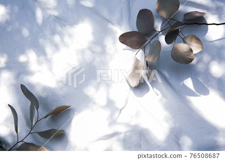 放在白色織物上的干花框架 76508687