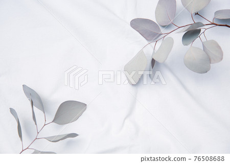 Frame of dried flowers placed on white fabric 76508688