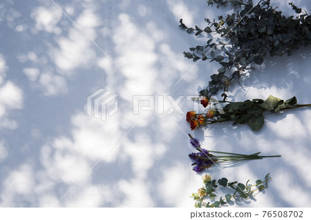 Frame of dried flowers placed on white fabric 76508702
