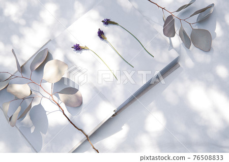 A book placed on a white fabric with natural light and the shadows of plants A book placed on a white fabric with natural light and the shadows of plants 76508833