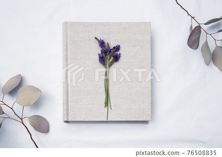 A book placed on a white fabric with natural light and the shadows of plants A book placed on a white fabric with natural light and the shadows of plants 76508835
