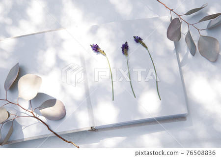一本放在白色織物上的書,有自然光和植物的陰影 一本放在白色織物上的書,有自然光和植物的陰影 76508836