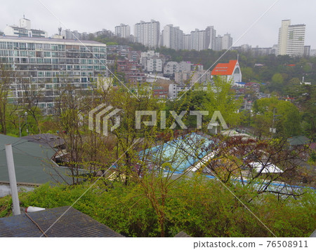 Jeongneunggol. Copy flower. Sprout. Leaves. Spring flower 76508911