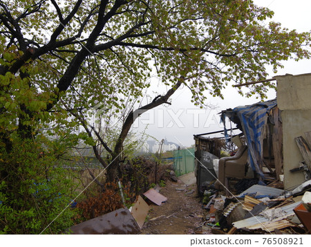 正陵谷，桃花，花蕾，葉子，春天的花朵 76508921