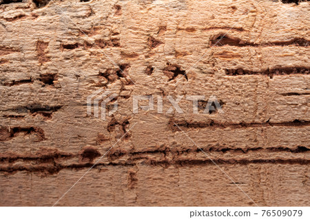 background of cork texture closeup background of cork texture closeup 76509079