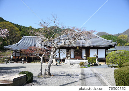 Yamasa Okuin Yamasa Okuin 76509862