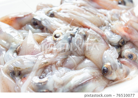 Raw firefly squid up Raw firefly squid up 76510077