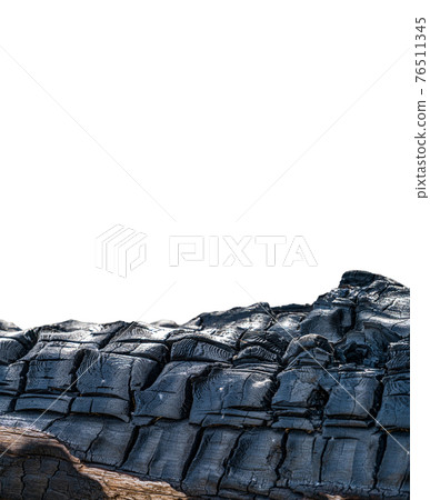 Burnt tree trunk detailed view against white background Burnt tree trunk detailed view against white background 76511345