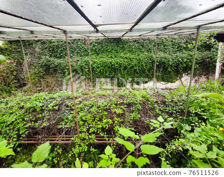 old abandoned greenhouse broken windows old abandoned greenhouse broken windows 76511526