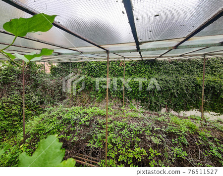 old abandoned greenhouse broken windows 76511527