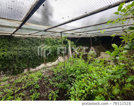 old abandoned greenhouse broken windows 76511528