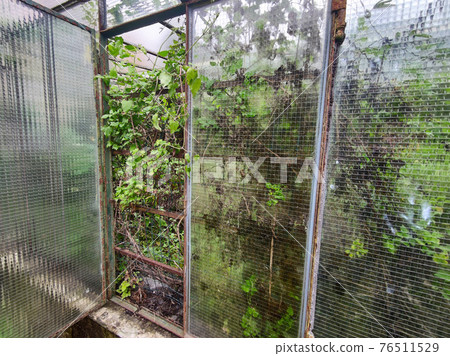 old abandoned greenhouse broken windows 76511529