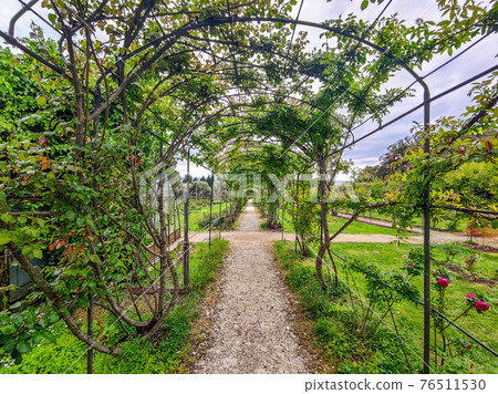 rose garden pergola rose garden pergola 76511530