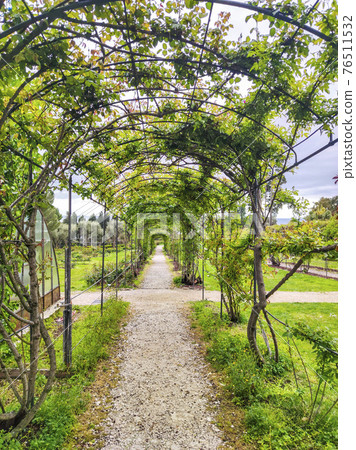 rose garden pergola rose garden pergola 76511532