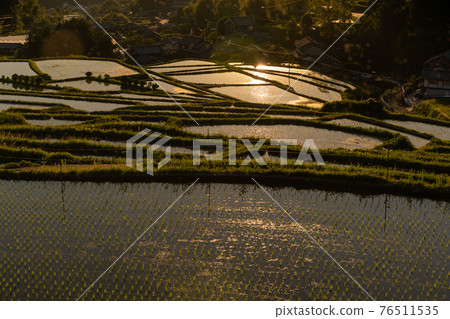 Photographed rice terraces in the evening of Hosokawa, Asuka Village, Nara Prefecture Photographed rice terraces in the evening of Hosokawa, Asuka Village, Nara Prefecture 76511535