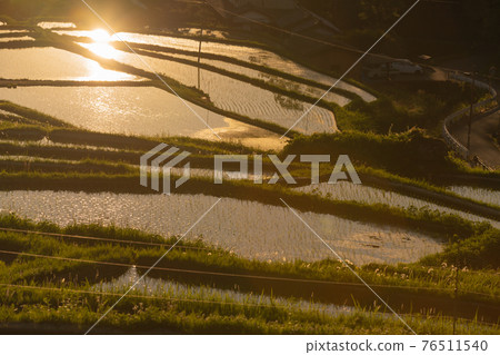 Photographed rice terraces in the evening of Hosokawa, Asuka Village, Nara Prefecture Photographed rice terraces in the evening of Hosokawa, Asuka Village, Nara Prefecture 76511540